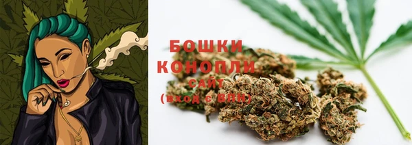 молекула духа Горно-Алтайск