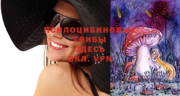 Альфа ПВП Горнозаводск