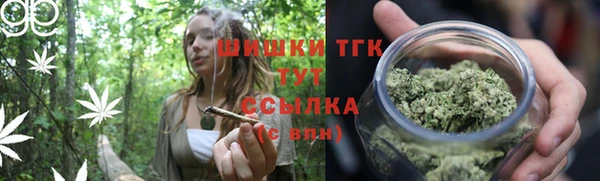 молекула духа Горно-Алтайск
